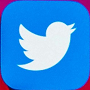 Twitter Logo